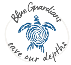 Blue Guardians