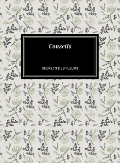 Services "Conseils" conseil