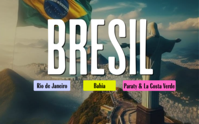 🟢 Santé et Vaccins au Brésil