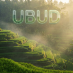 Firefly_Gemini Flash_Photorealistic landscape of Ubud, Bali, Indonesia, lush green rice terraces, tropical 416290