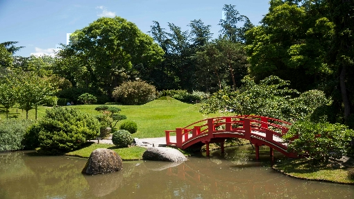 jardin japonais tls